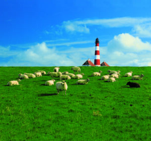 Eine Küste - Leuchtturm Westerheversand mit einem Leuchtturm im Hintergrund.