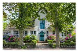 Ein Haus der Serie Friesenhäuser - Nieblum auf Föhr in Nieblum auf der Insel Föhr mit Blumen.