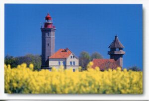 Ein Nordlichter - Leuchtturm Dahmeshöved, umgeben von gelben Blumen bei Dahmeshöved.