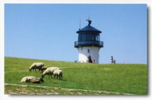 Schafe weiden in der Nähe der Serie Leuchttürme - Altenbruch „Dicke Berta“.