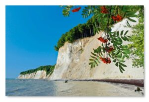 Ein Rügen - Meine Insel - Kreidefelsen von Rügen mit roten Beeren auf Rügen.