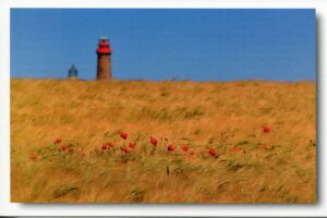 Ein Leuchtturm in den malerischen Feldern von Rügen - Meine Insel - Kap Arkona.