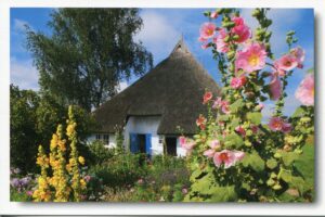 Reetdachhaus mit Blumen auf Rügen - Meine Insel - Pfarrwitwenhaus in Groß Zicker / Insel Mönchsgut.