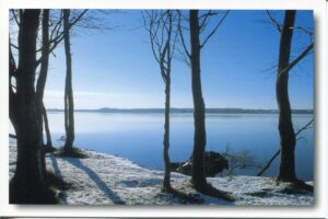 Das Schleswig-Holsteinische Steilufer an der Schlei ist kahl.