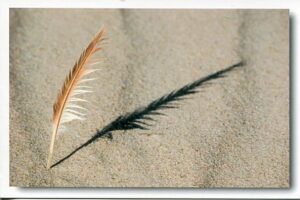 Der Schatten einer Feder auf dem Sand bei Watt´n Meer Watt´n Meer.